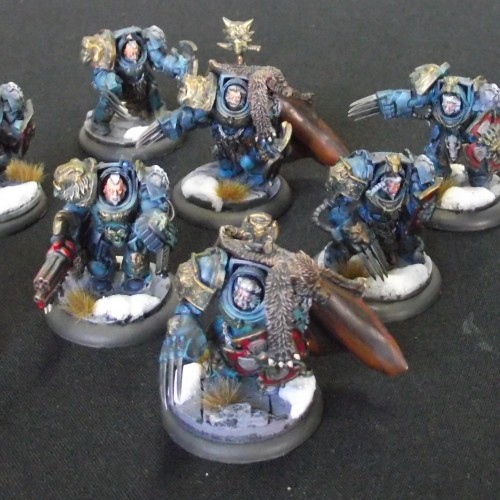 For Sale: Fully Painted Space Wolf Army (Sold)