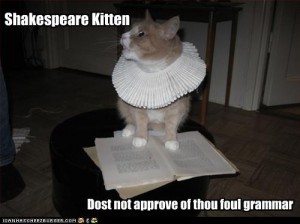 funny-pictures-cat-hates-your-grammar