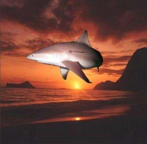 Sun Shark....get it?!