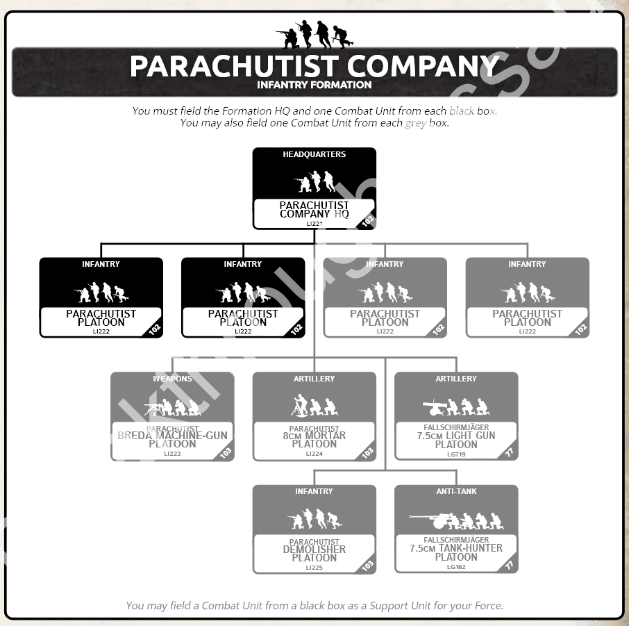 Organizational chart of a Parachutist Company: HQ at top, multiple infantry platoons, and support platoons (weapons, artillery, demolisher, tank-hunter).