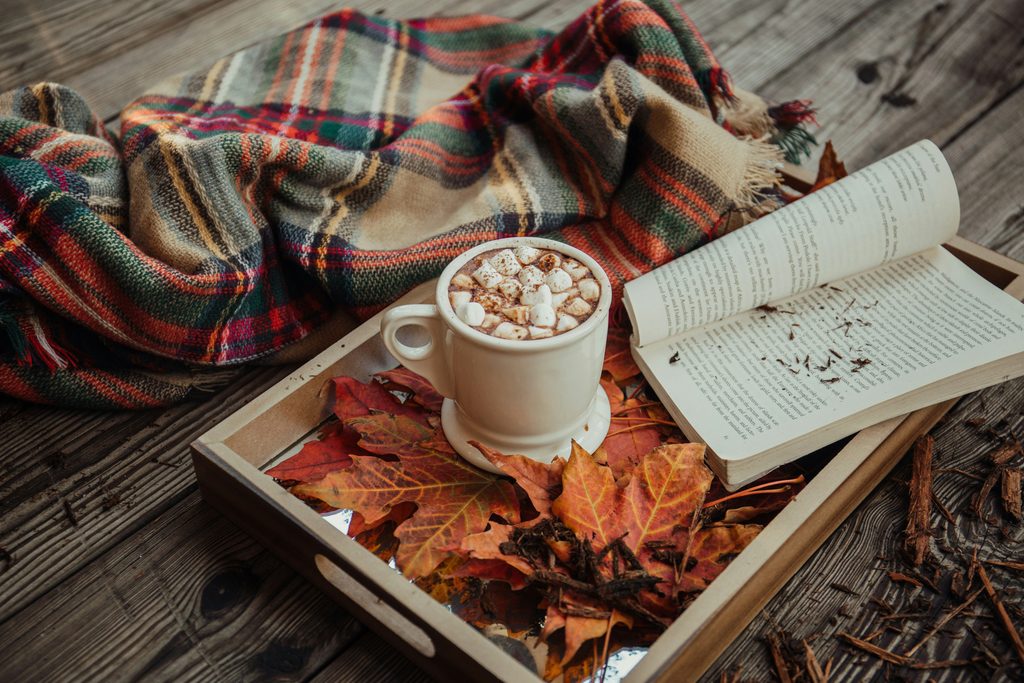 White mug of hot chocolate with marshmallows on a wooden tray beside an open book and a plaid blanket surrounded by autumn leaves